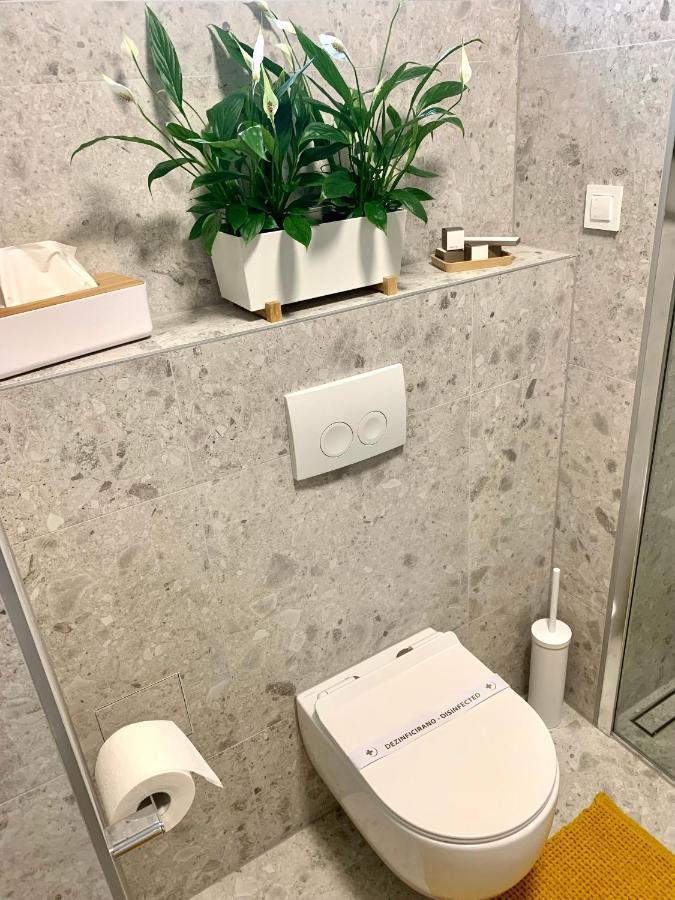 Apartment Zen *